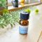essen-oil-peppermintlemongrass-2023-0427